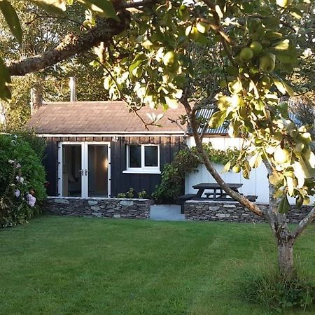 Cosy Cabin Near Lough Hyne Skibbereen Exterior photo